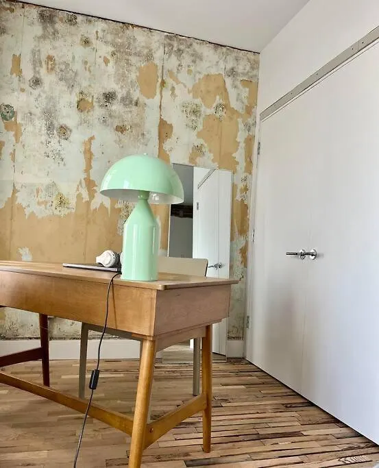 Apartmán Deconstructed Loft In Greenpoint New York 0*,